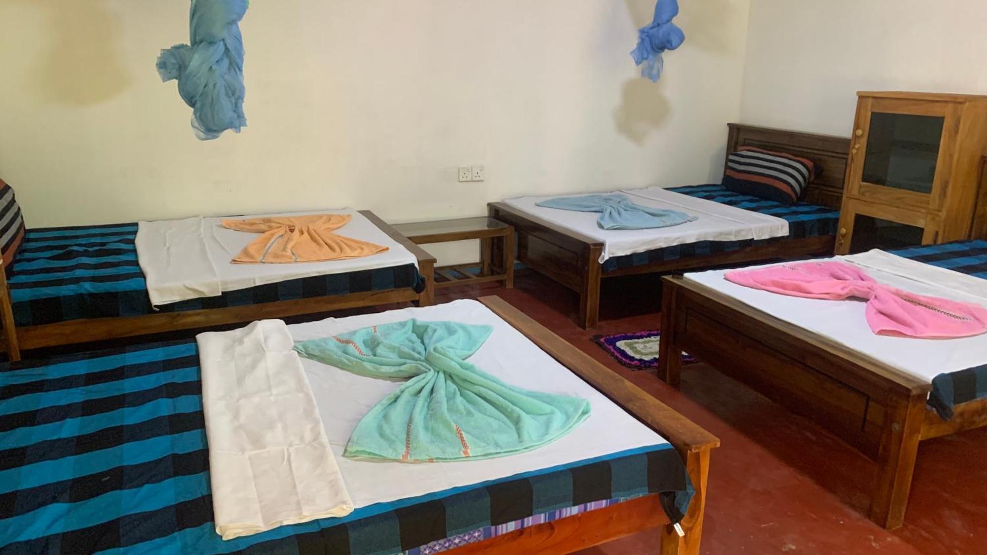 Sigiri Birds Hostel สิกิริยา ภายนอก รูปภาพ