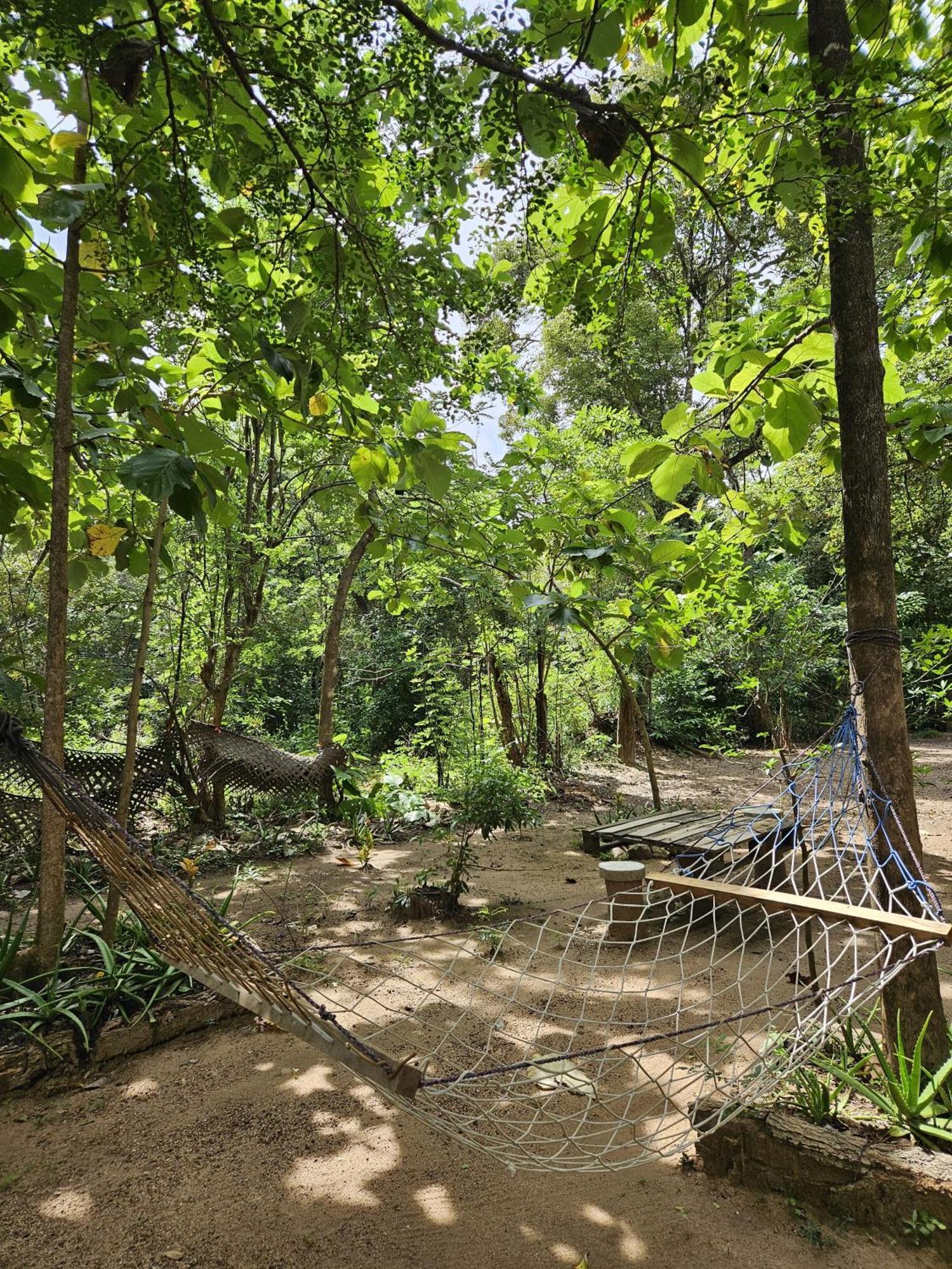 Sigiri Birds Hostel สิกิริยา ภายนอก รูปภาพ