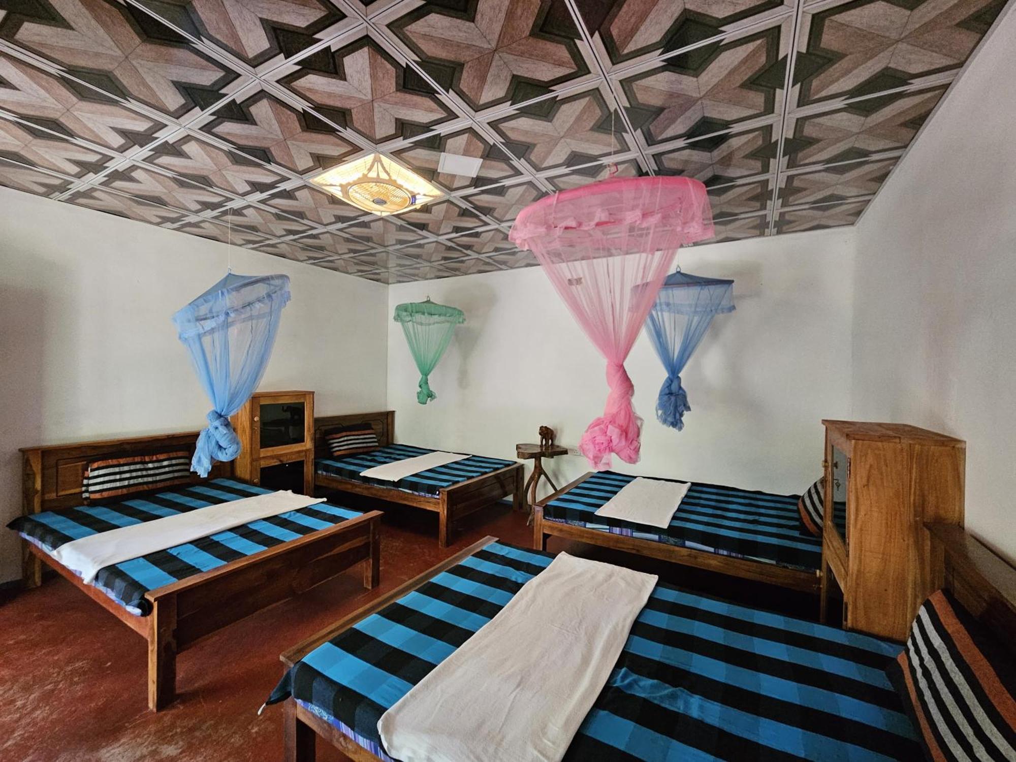 Sigiri Birds Hostel สิกิริยา ภายนอก รูปภาพ